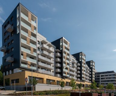 Bohdalecke kvarteto 1
